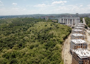 full_image-01-03-22-09-31-4